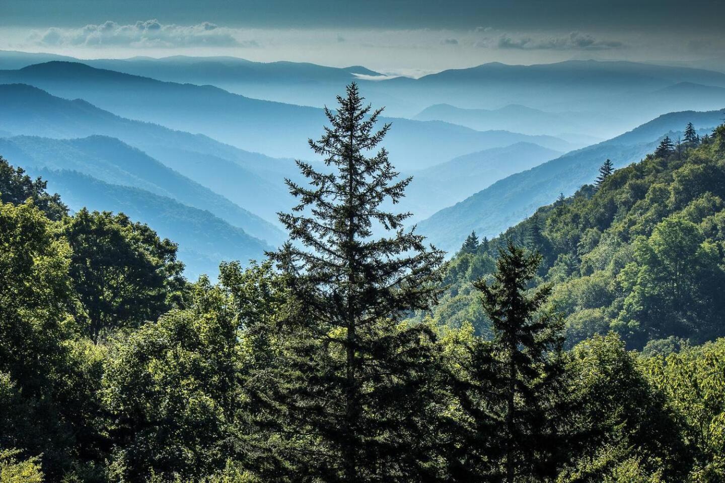 5Br Smoky Cabin Hot Tub, Games, 1 Mi To Parkway Pigeon Forge Zewnętrze zdjęcie